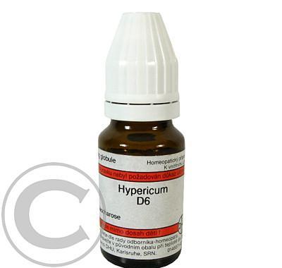 HYPERICUM D  6 GLO.8G, HYPERICUM, D, 6, GLO.8G