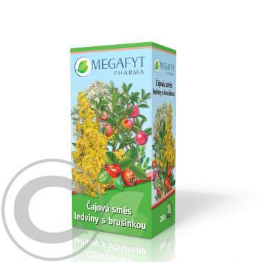 MEGAFYT Čajová směs ledviny s brusinkou nálevové sáčky 20 x 1.5 g