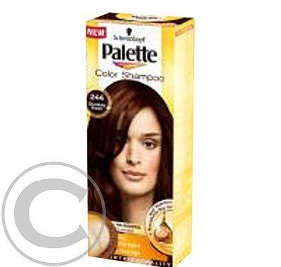 PALETTE Color shampoo 244 čokoládový hnědý