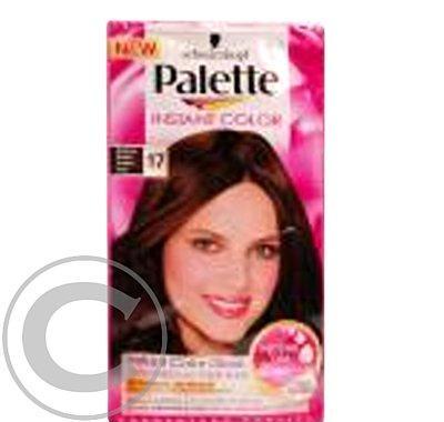 PALETTE instant Color č 17 středně hnědý