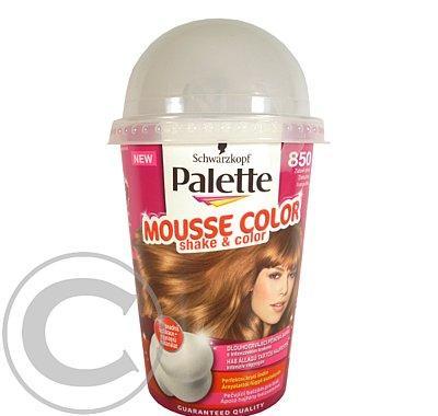 Palette Mousse Color 850 Zlatav plavý 125ml