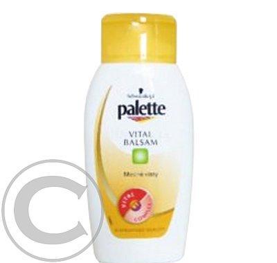 PALETTE vital balzám na mastné vlasy,200ml