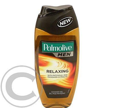 Palmolive sprchový gel 250ml For Men relaxing